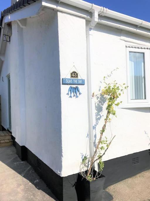 Perfect 4 Cpls & Families . Close To Everything Villa Pentraeth Buitenkant foto